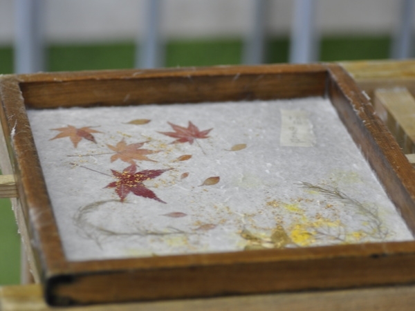 Washi paper making