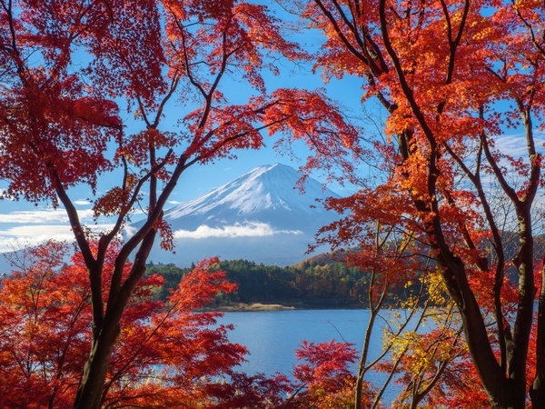 Lake Kawaguchi in Autumn