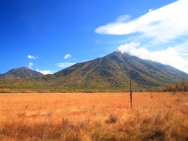 Nikko Autumn