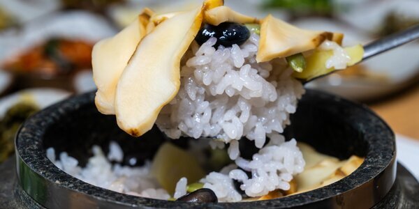 Taste the Matsutake Kaiseki