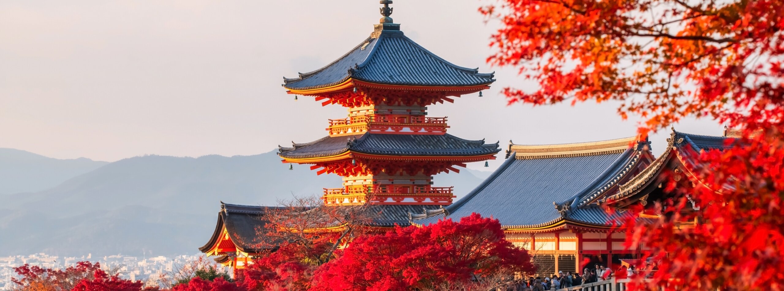 9-Day Japan Highlights Tour Including Hakone Leisure