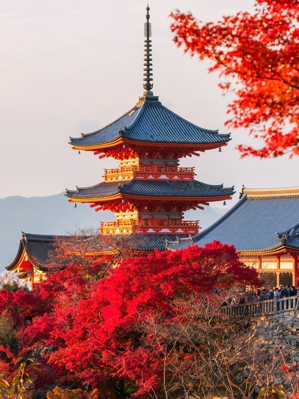 9-Day Japan Highlights Tour Including Hakone Leisure