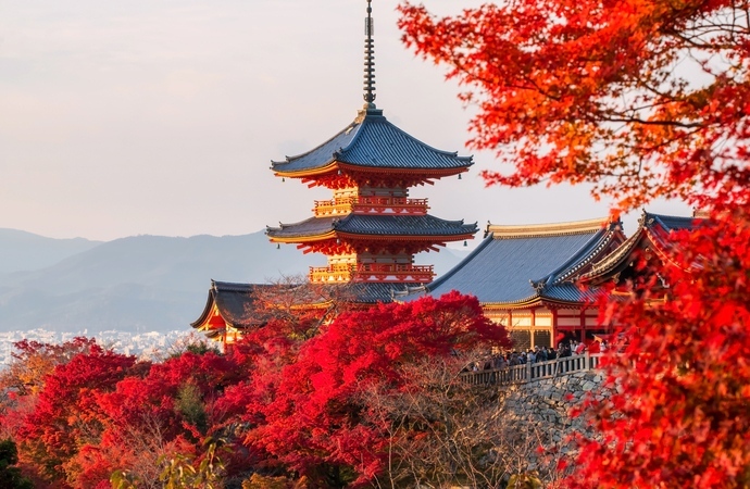 Japan autumn tour