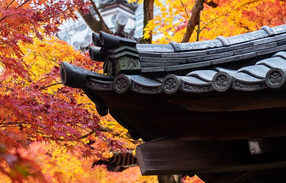 Japan splendid autumn tour