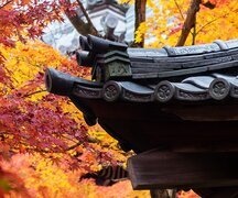 11-Day Japan Autumn Splendor Tour