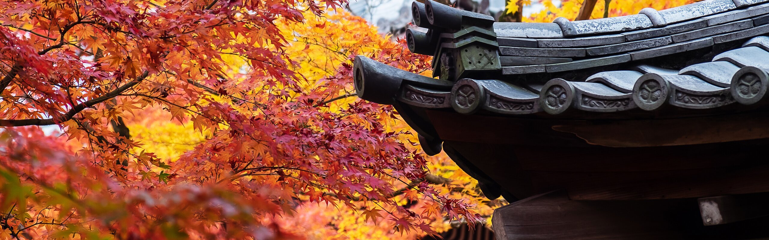 11-Day Japan Autumn Splendor Tour