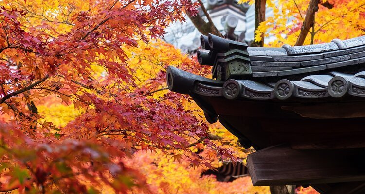 Eikan-do Temple autumn colors