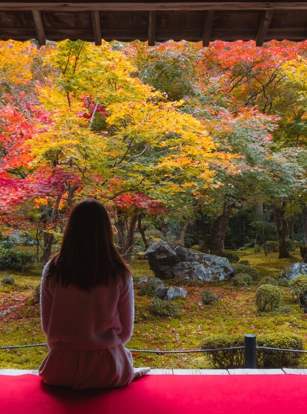 Japan Fall Foliage 2026—Plan the Perfect Autumn Trip