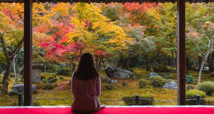 Travelers view autumn leaves in a garden in Kyoto