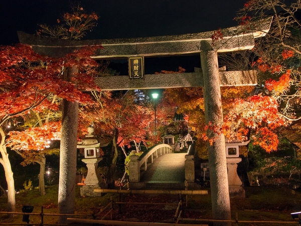 Witness the Eikan-do Temple Night Illumination