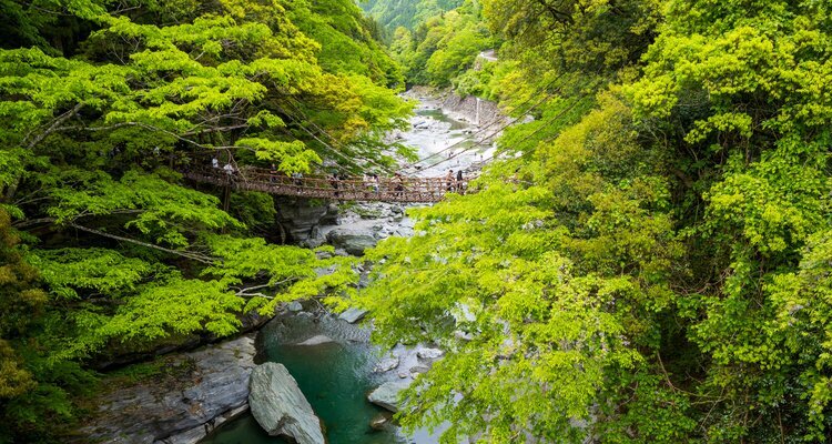 Iva Valley