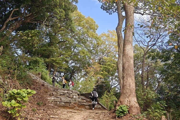 The Mountain Path behind to Zenjibu-ji Temple in Kochi