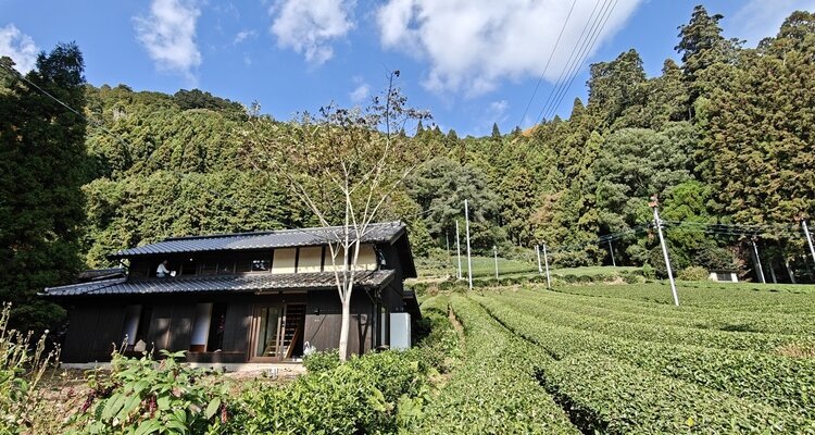 Tea Gardenin Wazuka Town
