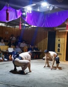 Sumo Show