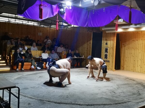 Sumo show experience