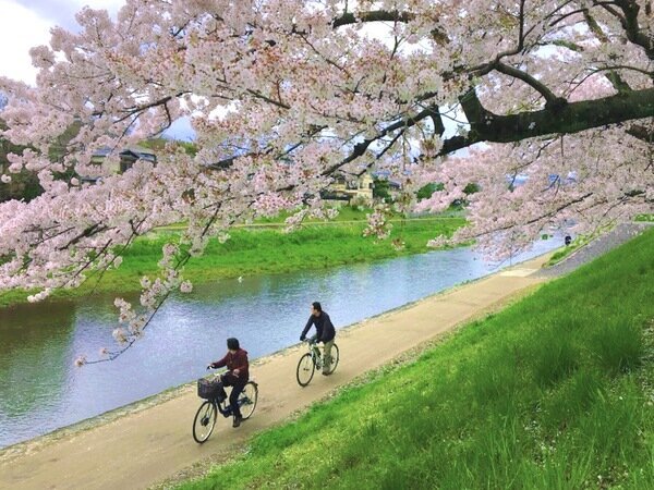 Biking in Kyoto