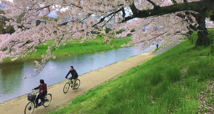 biking in Kyoto