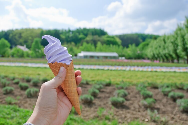 Try lavender ice cream is a must in Furano