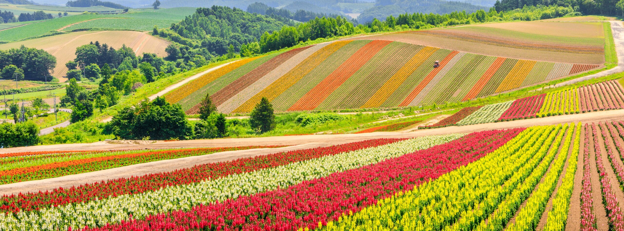 8-Day Hokkaido Summer Tour