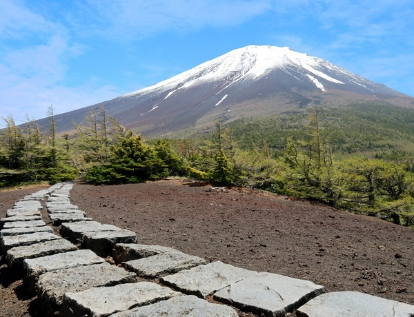 Mt Fuji hiking