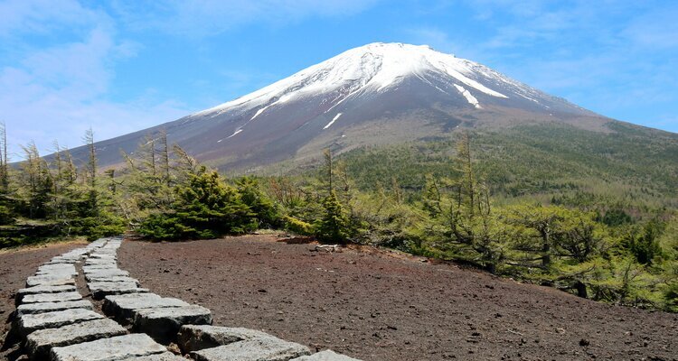 Mt.fuji