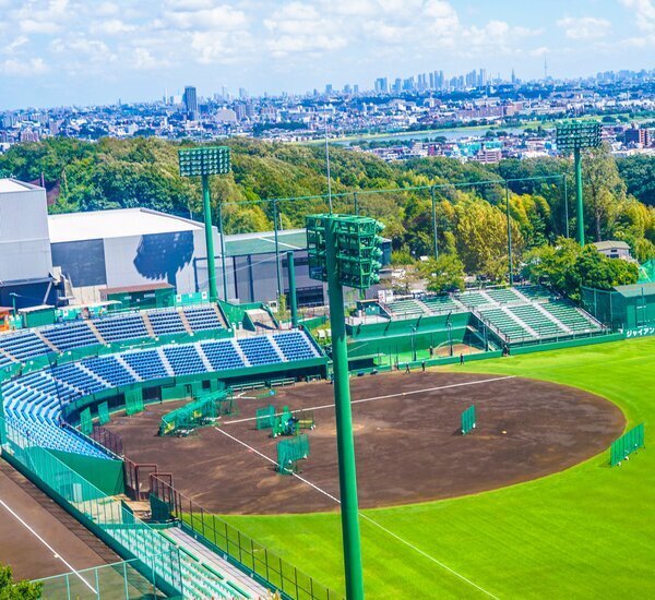 Watching Baseball in Japan - Where and When to See, How to get the