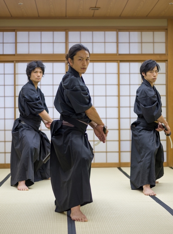 Samurai and Ninja Discovery
