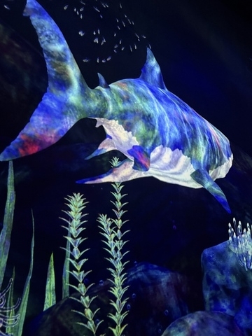 Drift through teamLab's sensory digital world