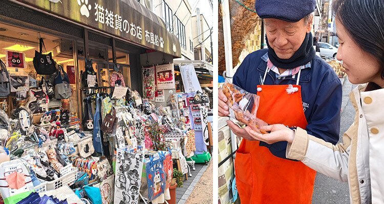 Tokyo walking tour