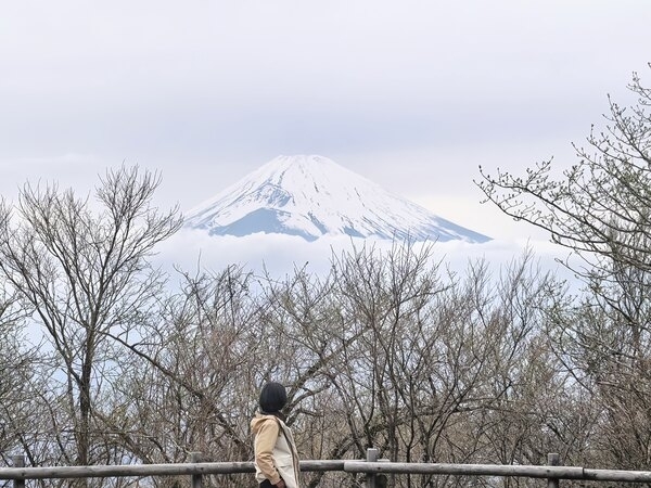 Frame Mt. Fuji from the Hakone Skyline.