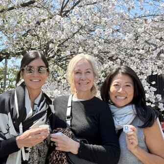 Cherry blossoms