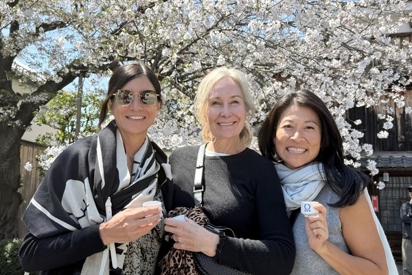 Plan a cherry blossom tour