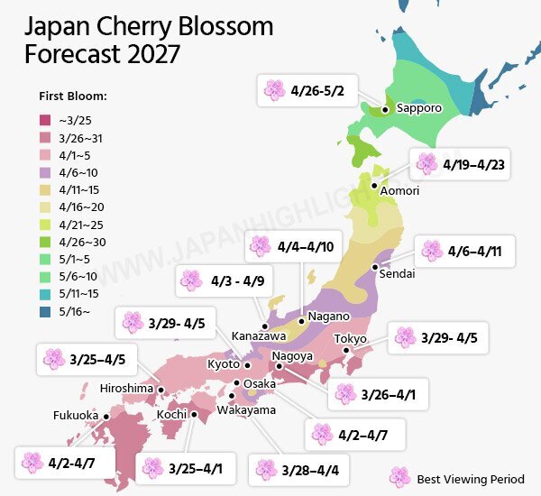 Japan Cherry Blossoms 2027 - Plan for the Full Bloom Now