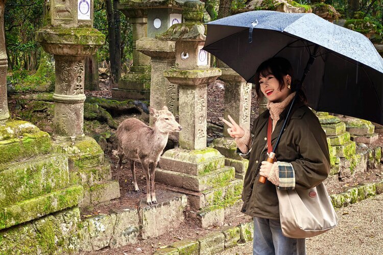 Me with deer at Kasuga Taisha Shrine, April 2026