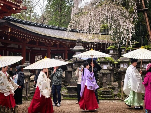 Traditional shrine festivals in Nara