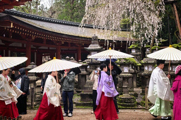 We saw a traditional Shinto ritual at Kasuga Taisha Shrine