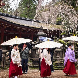 Kasuga Taisha Shrine