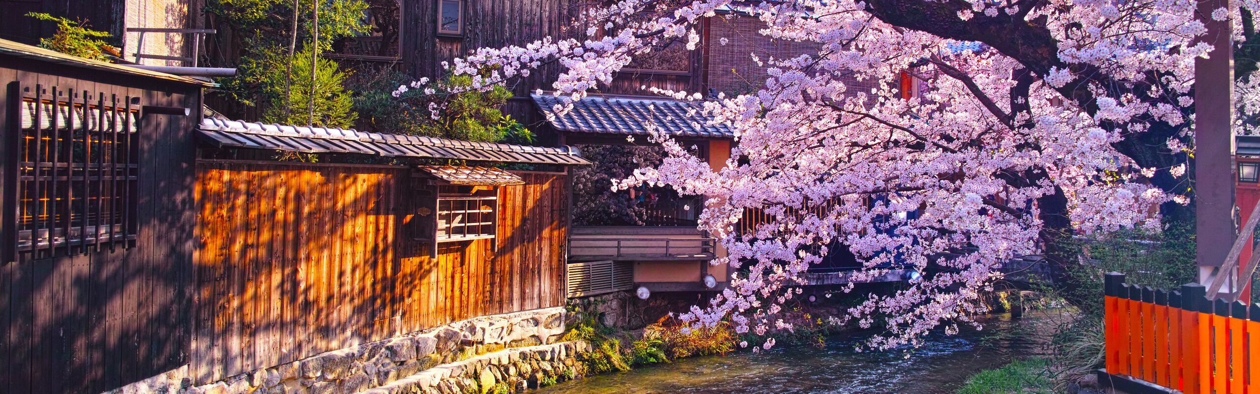 10-Day Japan: Your Exclusive Cherry Blossom Romance
