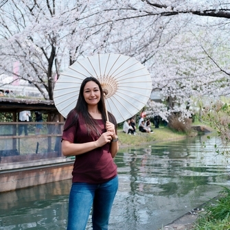 Kyoto Cherry Blossom