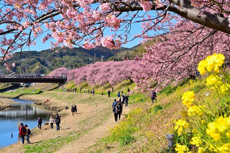 The Aono River is less crowded.