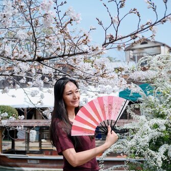 Cherry Blossom