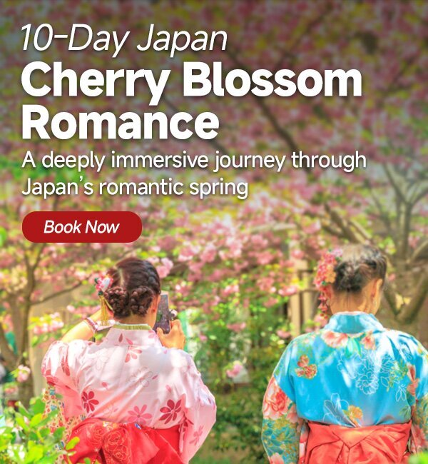 10-Day Japan cherry blossom tour