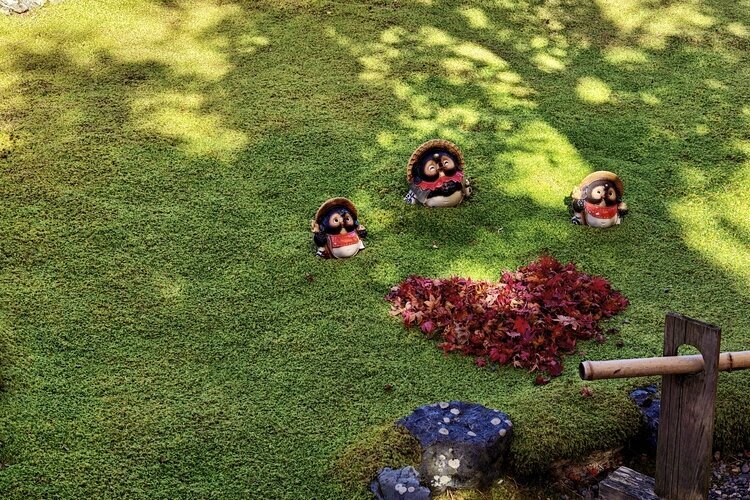 garden
