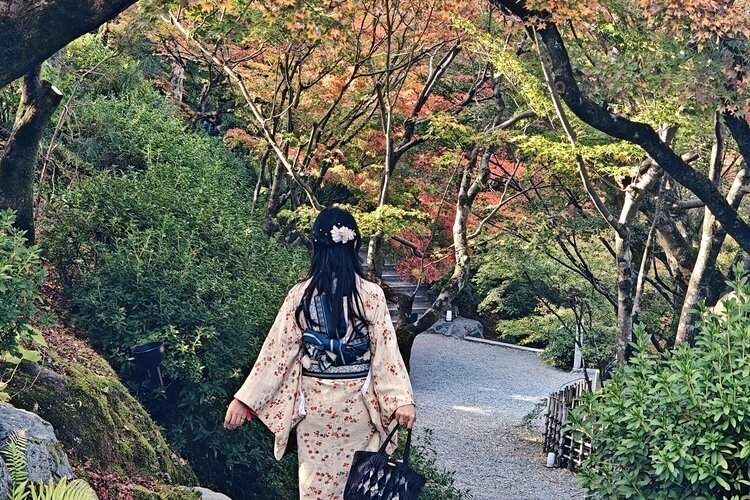Walking through Japanese Temple's garden