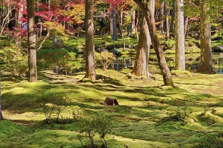 Saihoji Temple