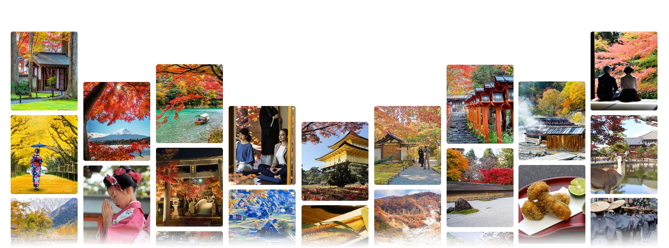 Japan fall foliage tours